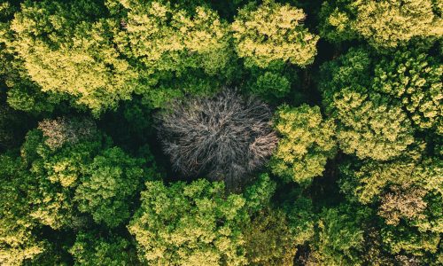 Biogen recognised in Award for Contribution to Tackling Net Zero