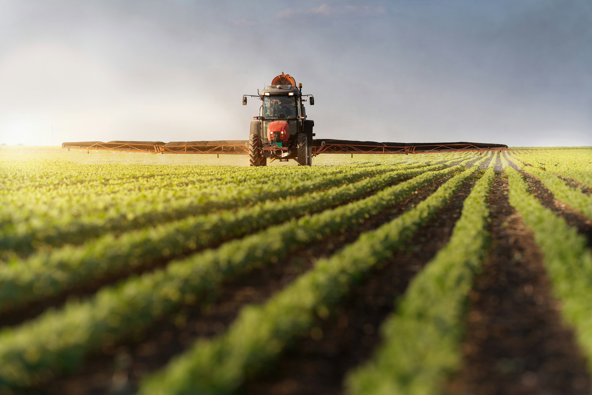 Fertiliser for Agriculture