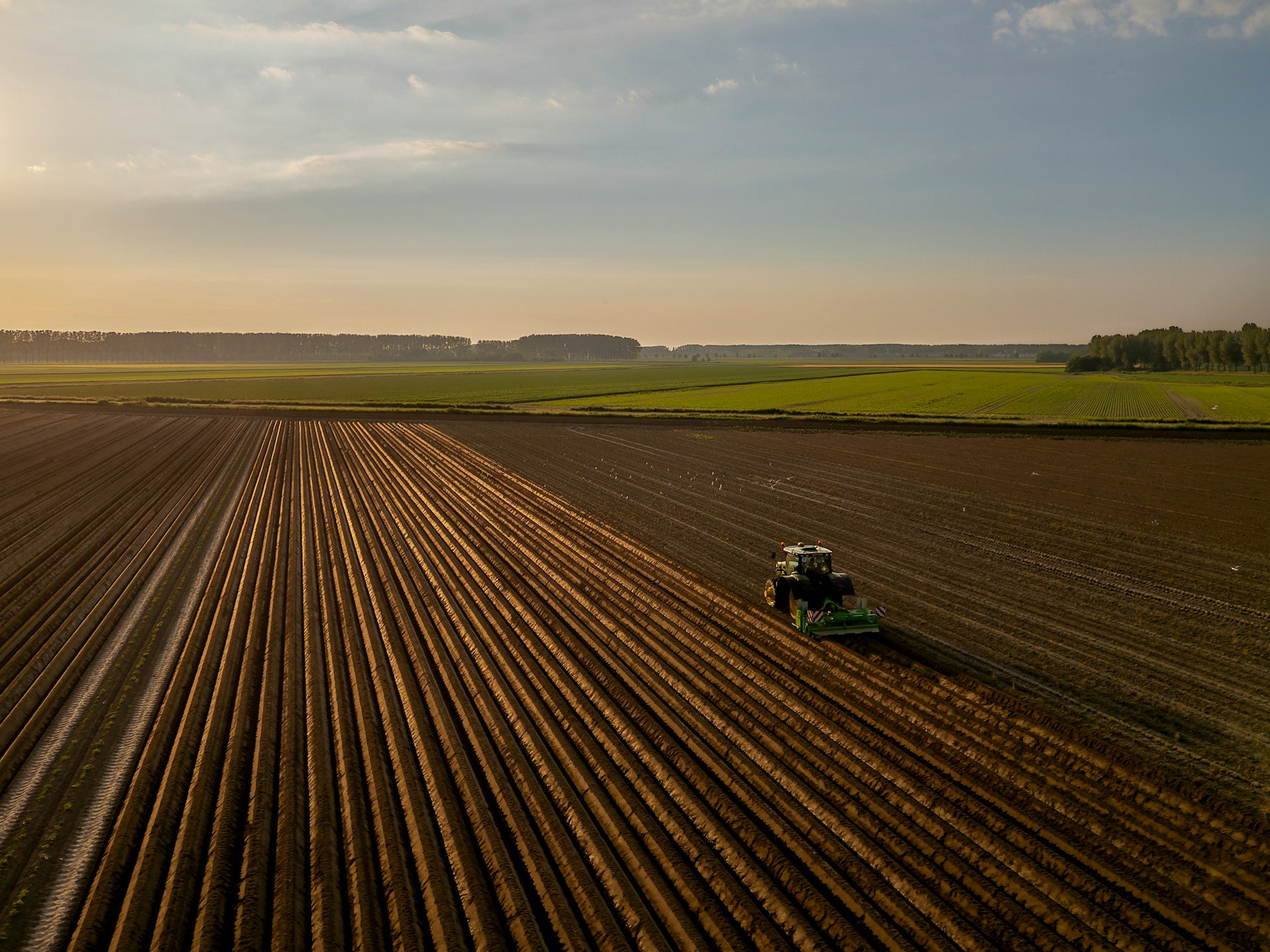 Banks Farming